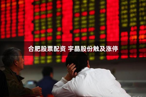 合肥股票配资 宇晶股份触及涨停