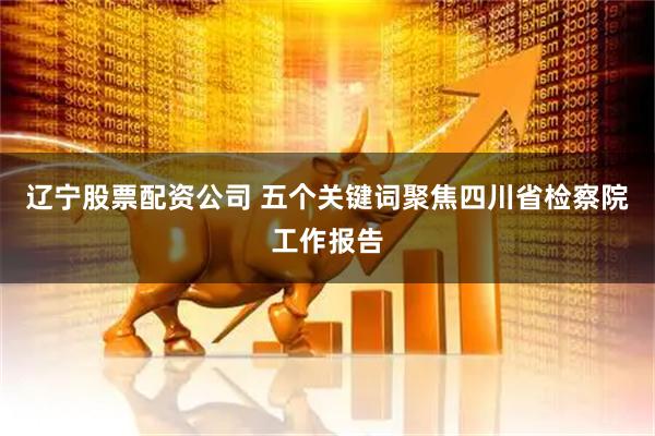 辽宁股票配资公司 五个关键词聚焦四川省检察院工作报告