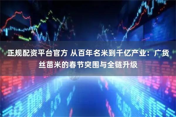 正规配资平台官方 从百年名米到千亿产业：广货丝苗米的春节突围与全链升级