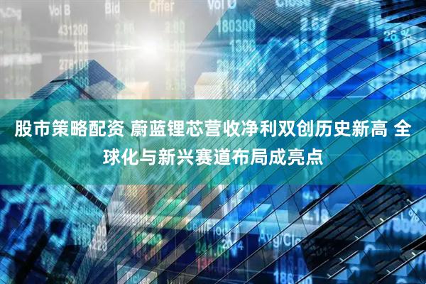 股市策略配资 蔚蓝锂芯营收净利双创历史新高 全球化与新兴赛道布局成亮点